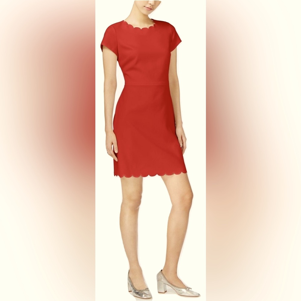 Maison Jules Scalloped Sheath Dress